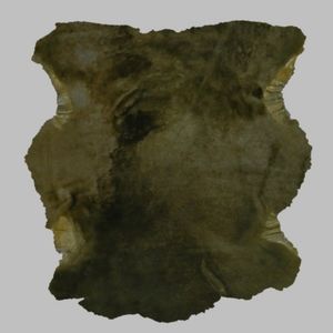 Shearling Tuscan Lamb Olive-